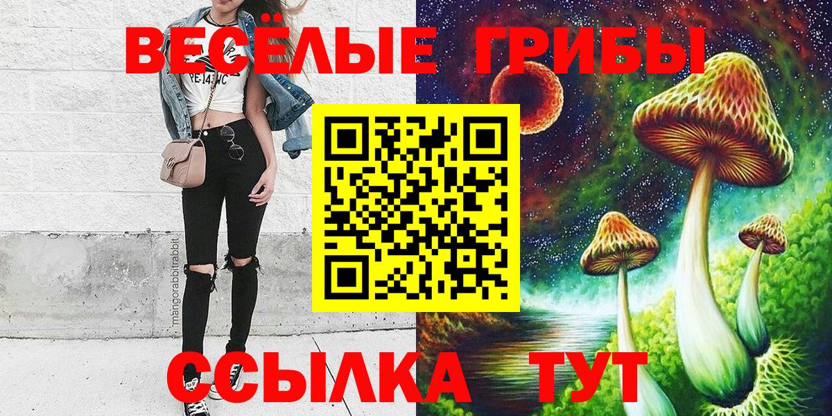 Альфа ПВП Лениногорск