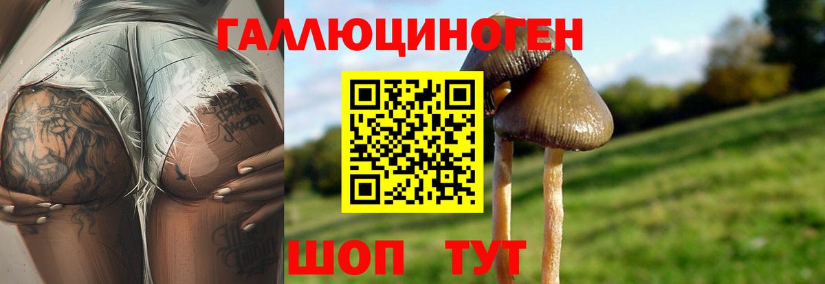 Галлюциногенные грибы мухоморы  Вход с VPN  Лениногорск  Псилоцибиновые грибы прущие грибы 